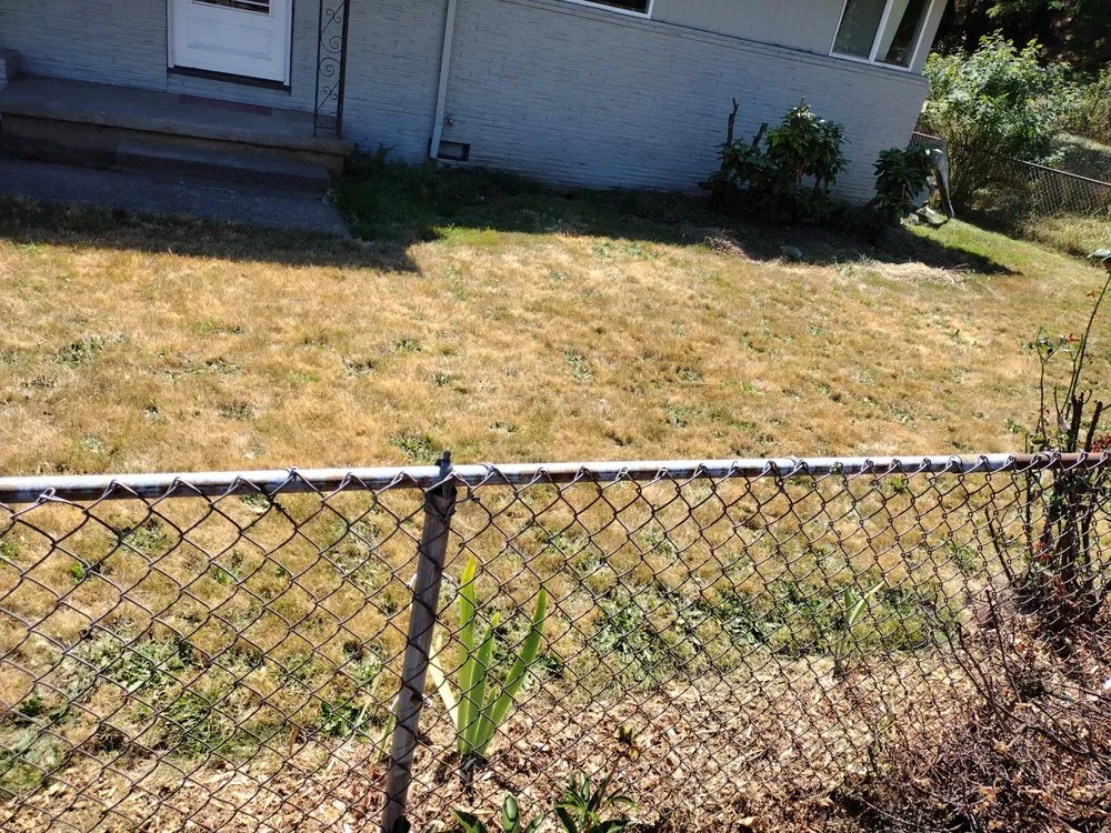 Professional yard maintenance for year-round maintenance across Keizer, OR - Dream J K Investments
