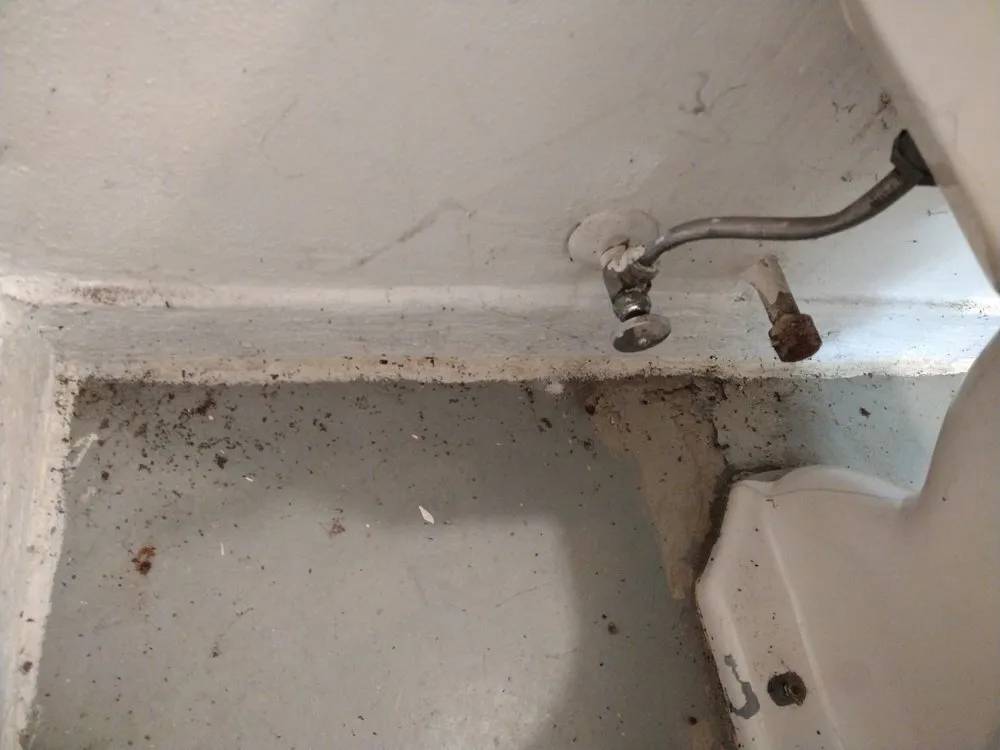 Trusted yard maintenance for beautiful yards in Keizer, OR by Dream J K Investments