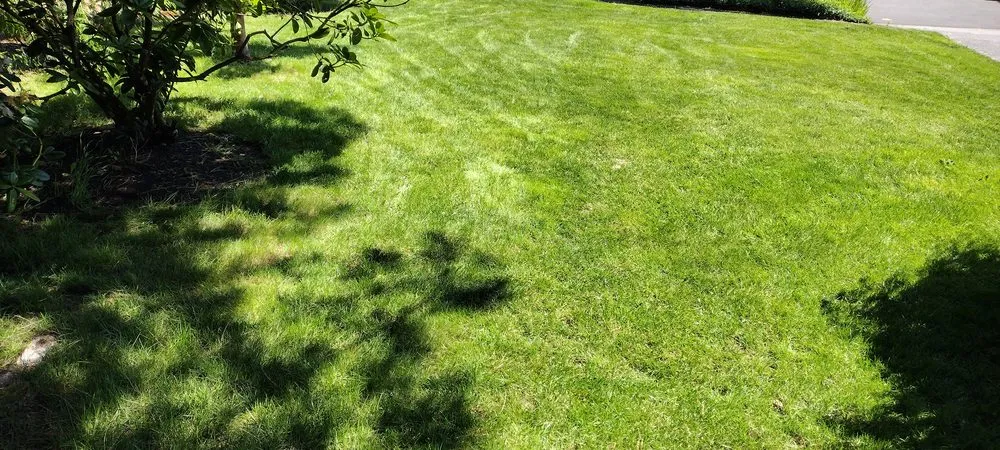 Top-rated residential landscaping for outdoor upgrades across Keizer, OR - Dream J K Investments