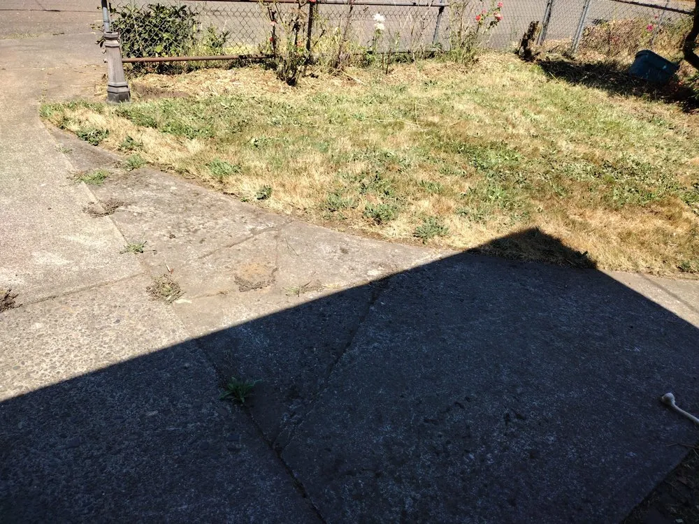 Local residential landscaping experts serving Keizer, OR - Dream J K Investments