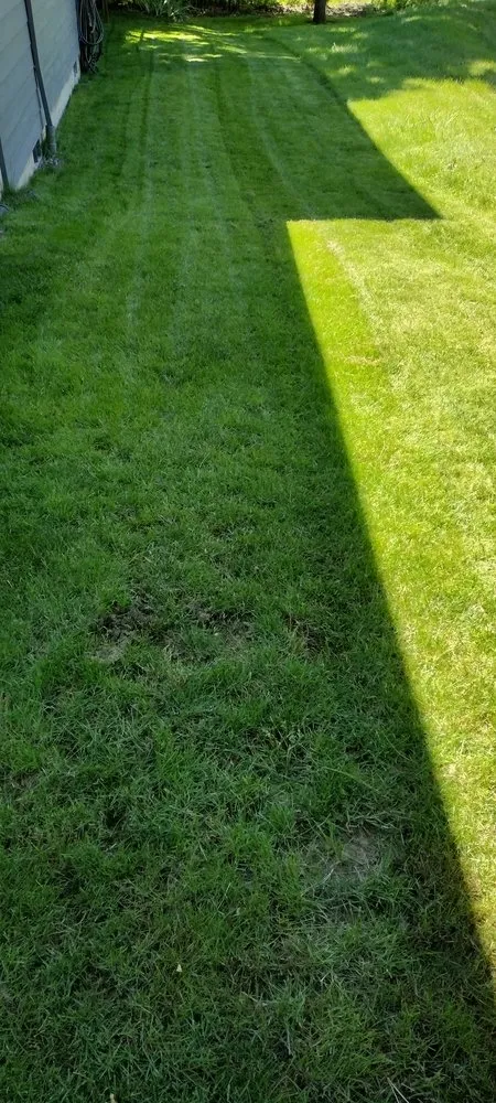 Trusted landscape design in Keizer, OR - Dream J K Investments