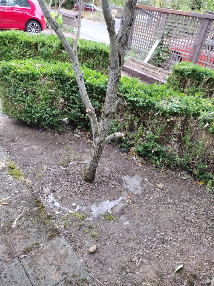 Custom lawn mowing service for residential properties across Keizer, OR - Dream J K Investments