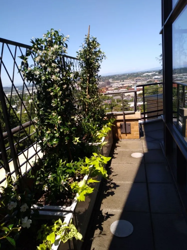 Affordable garden landscaping for homes across Canby, OR - Dream Landscape