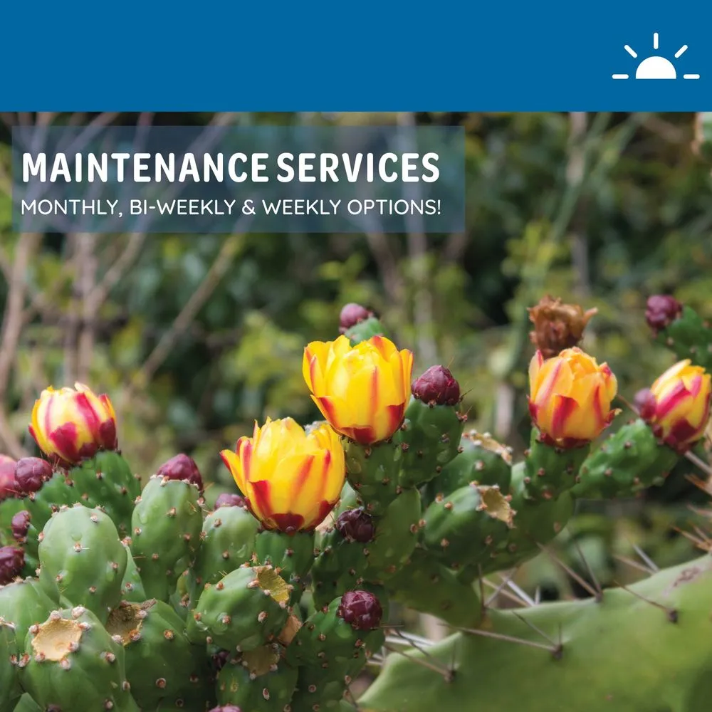 Reliable landscape design experts serving Phoenix, AZ - Dream Landscape Services