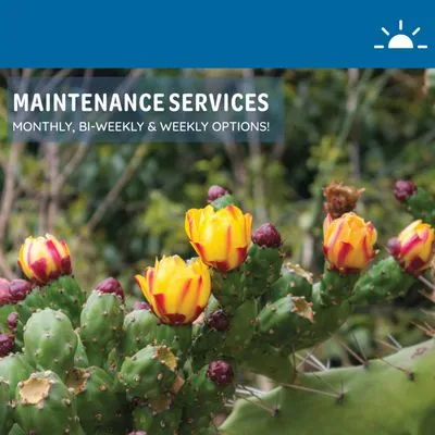 Dream Landscape Services Logo