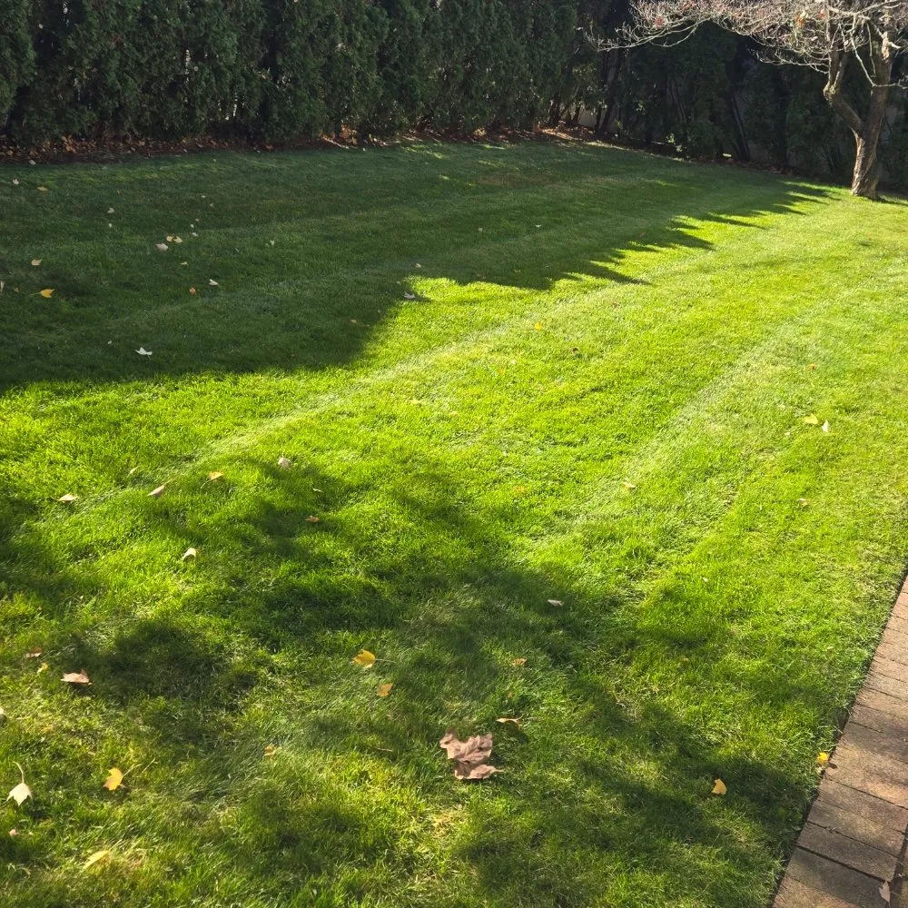 Professional outdoor landscaping in Hicksville, NY - Dream Landscaping