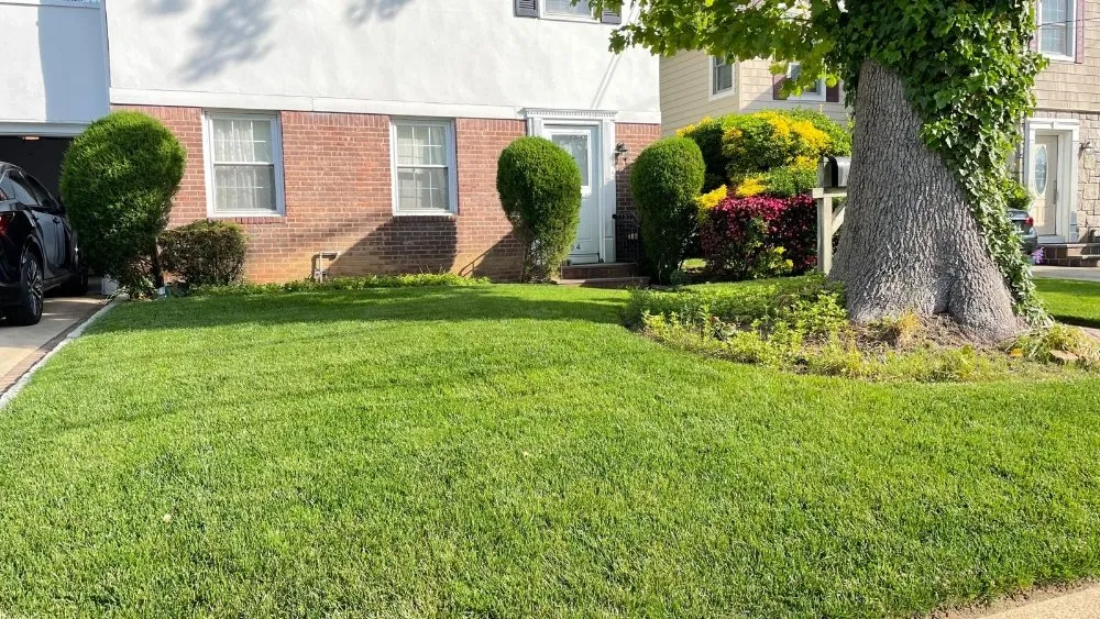 Expert landscape installation in Hicksville, NY - Dream Landscaping