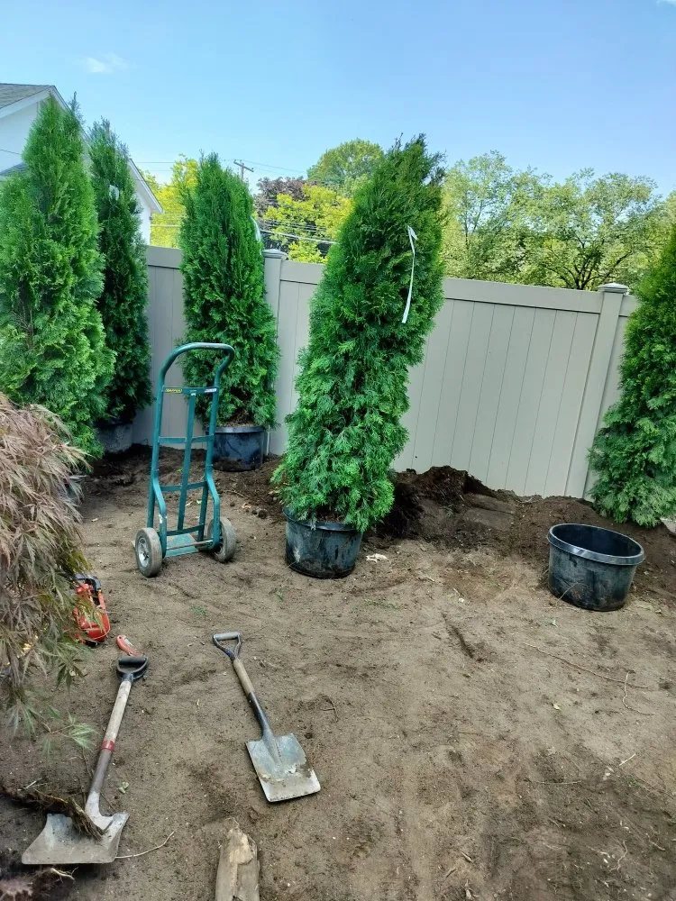 Local lawn care service experts serving Hicksville, NY - Dream Landscaping