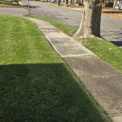 Dream Landscaping Logo