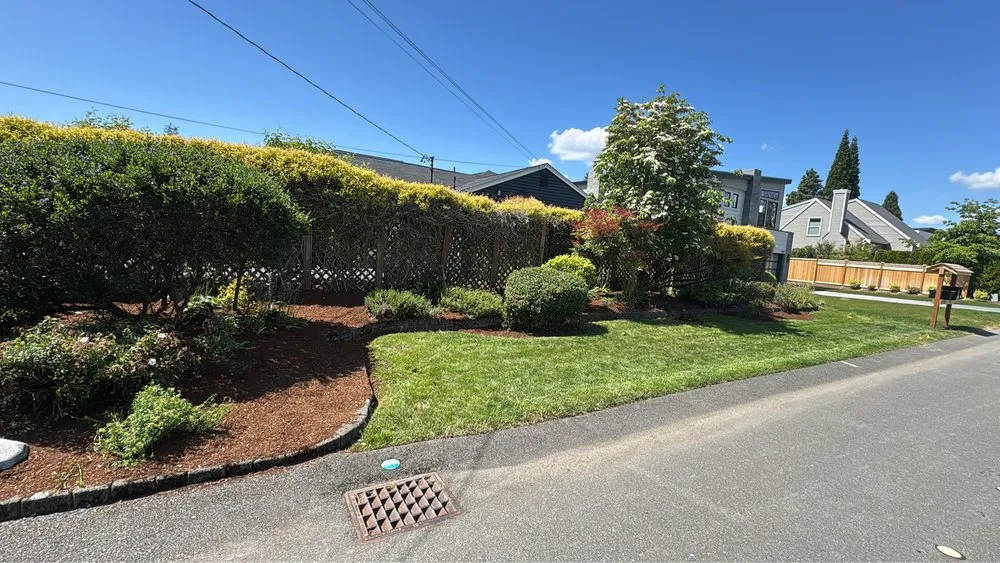 Custom lawn care service experts serving Kirkland, WA - Dream Landscaping