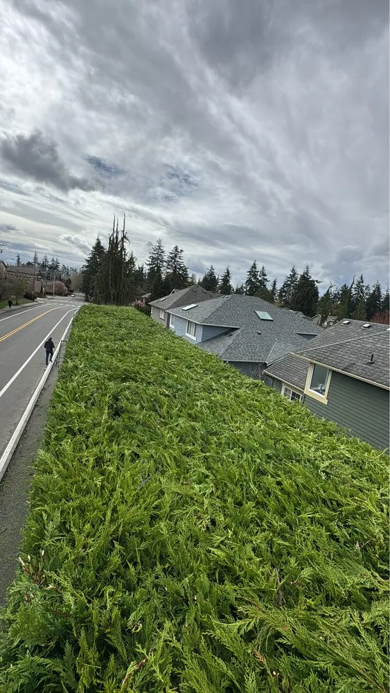 Trusted outdoor landscaping for outdoor upgrades across Kirkland, WA - Dream Landscaping