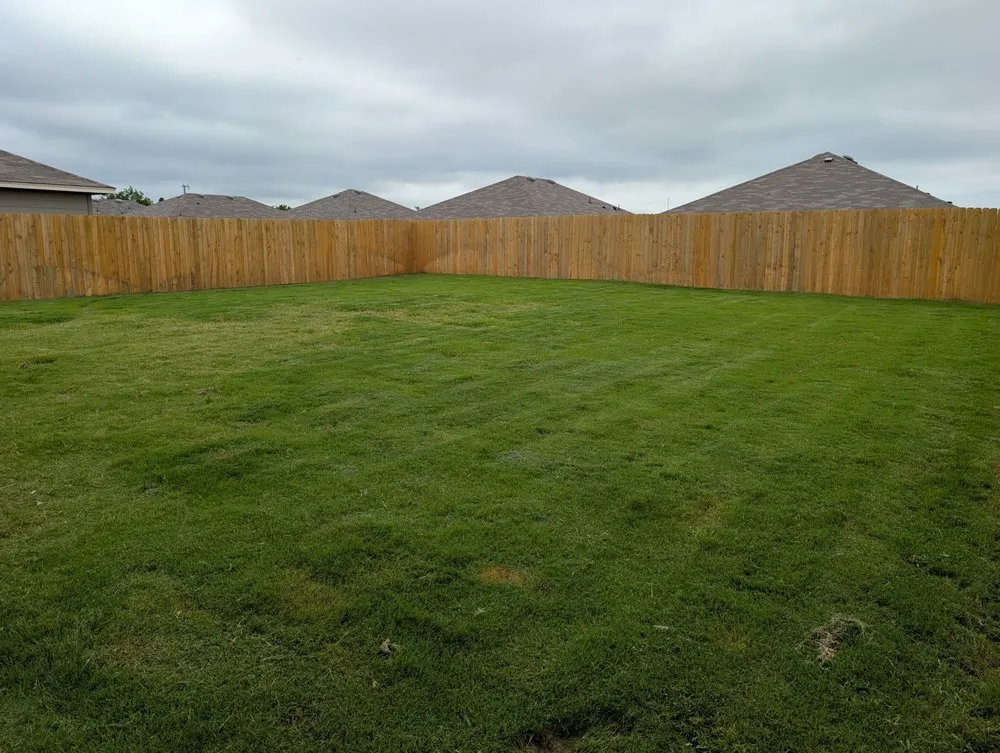 Top-rated outdoor landscaping for beautiful yards in Waco, TX by Dream Lawn Care