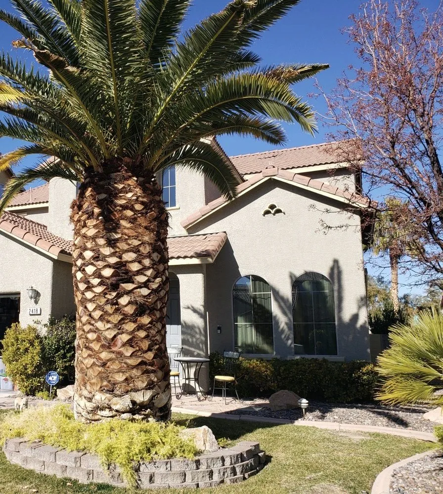 Custom lawn mowing service in Henderson, NV - Dream Lawns