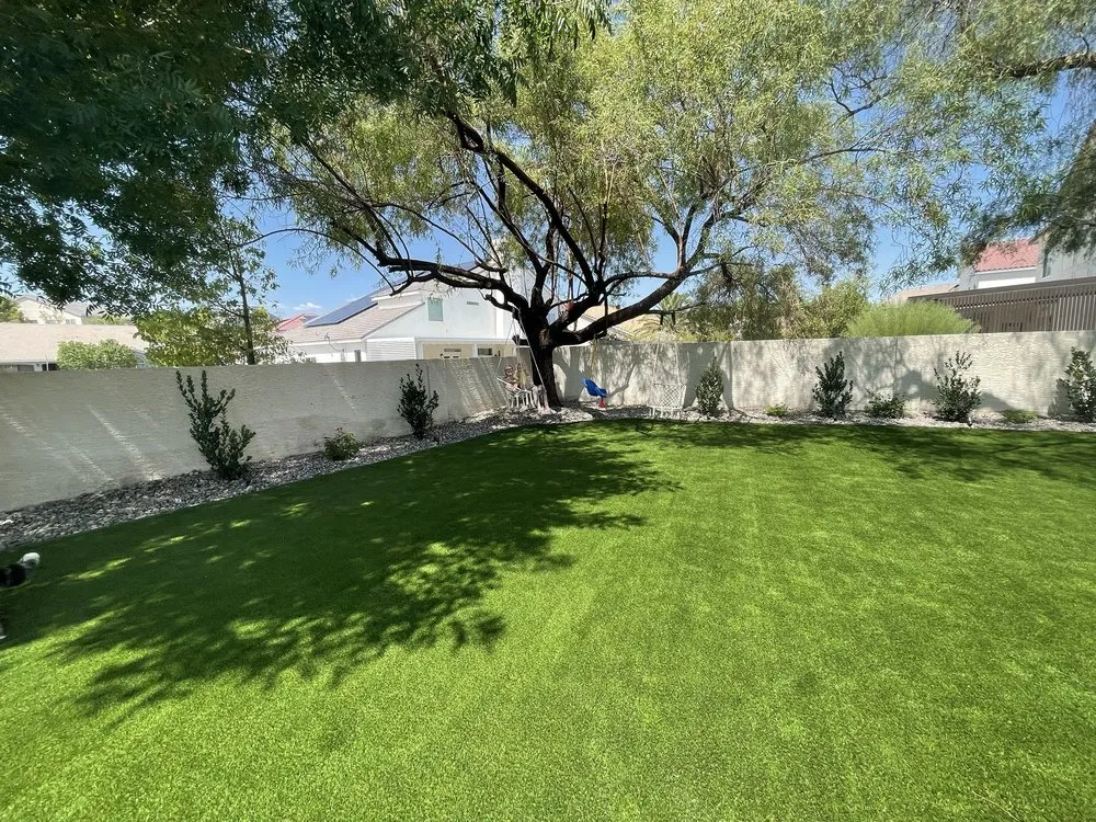 Custom landscape design for beautiful yards in Henderson, NV by Dream Lawns