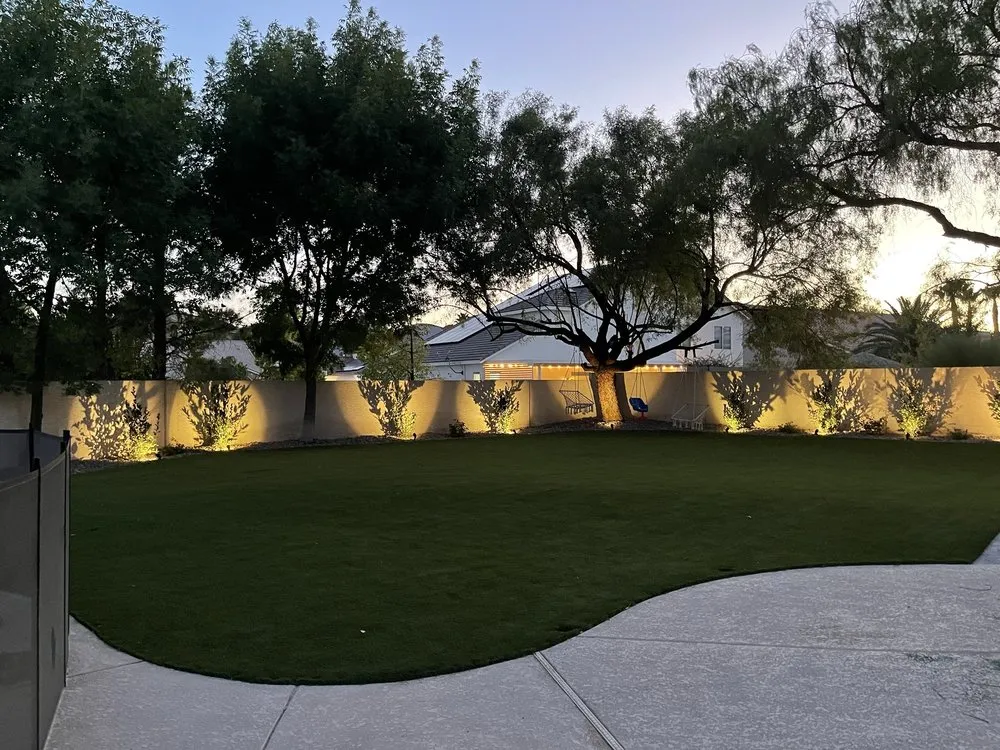 Top-rated landscape installation for year-round maintenance across Henderson, NV - Dream Lawns