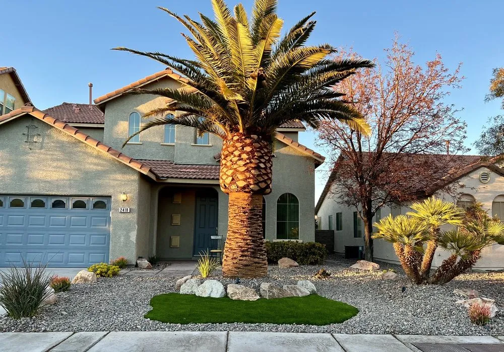 Reliable yard cleanup service in Henderson, NV - Dream Lawns