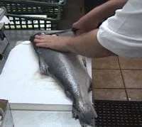 Affordable yard cleanup service near you in Henderson, NV by Dream Lawns