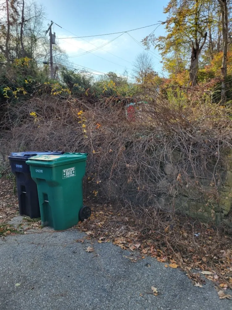 Affordable outdoor landscaping in Seymour, CT - Dream Lawns Landscape