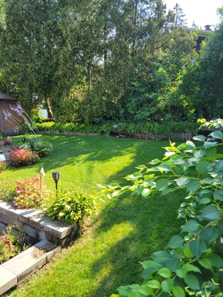 Custom lawn mowing service for outdoor upgrades across Seymour, CT - Dream Lawns Landscape