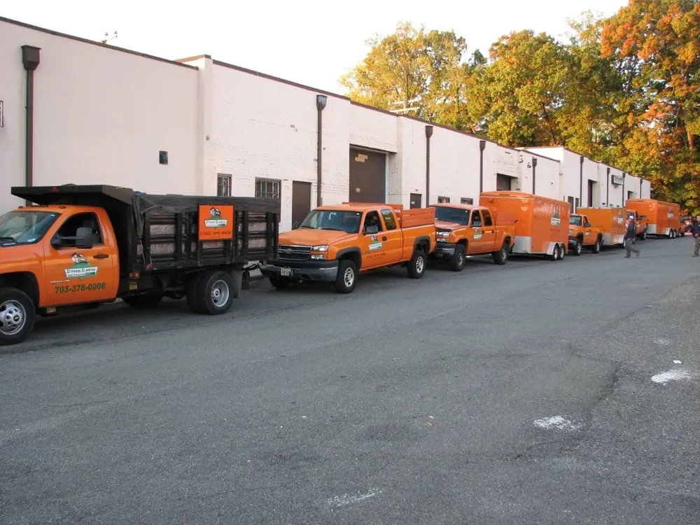 Top-rated landscaping services experts serving Springfield, VA - Dream Lawns