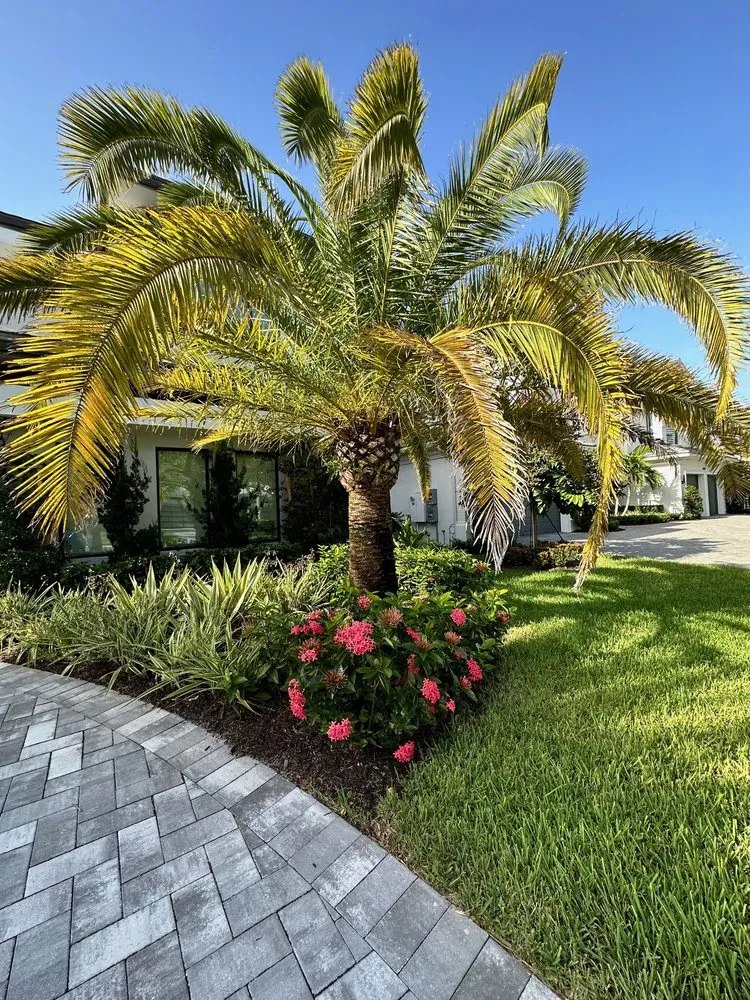 Reliable residential landscaping for year-round maintenance across Haverhill, FL - Dream Palmservices