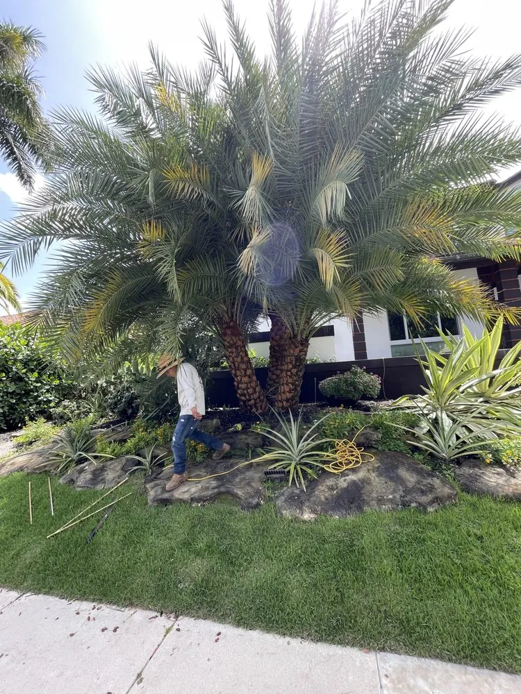 Custom landscape installation for residential properties in Haverhill, FL by Dream Palmservices