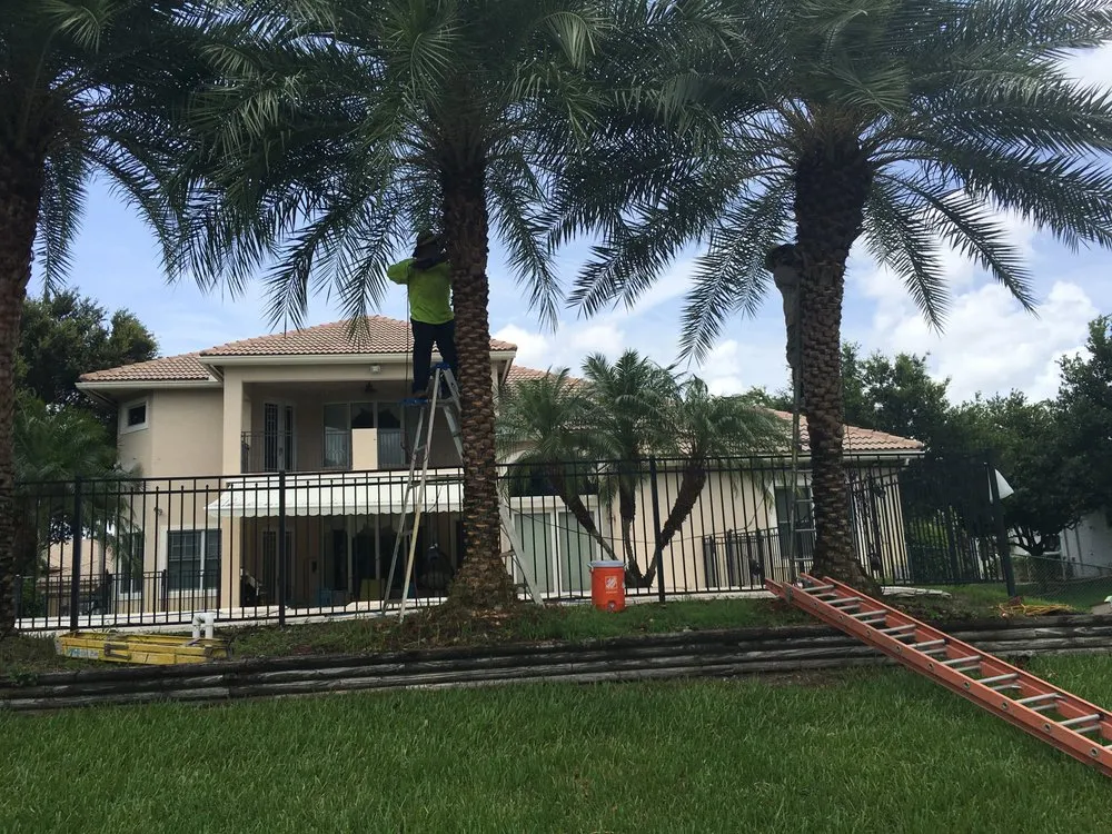 Custom landscape installation for beautiful yards in Haverhill, FL by Dream Palmservices