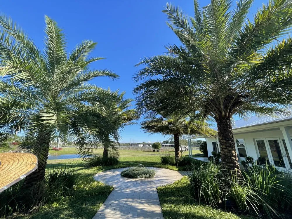 Affordable landscape design in Haverhill, FL - Dream Palmservices