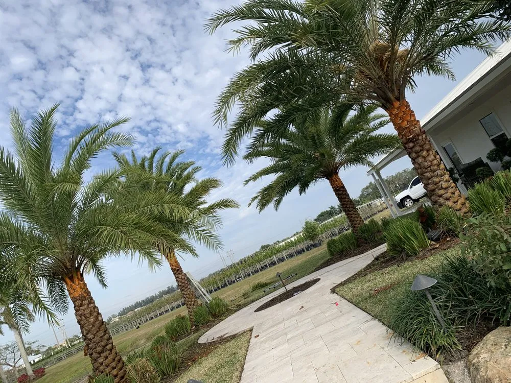 Affordable lawn care service in Haverhill, FL by Dream Palmservices