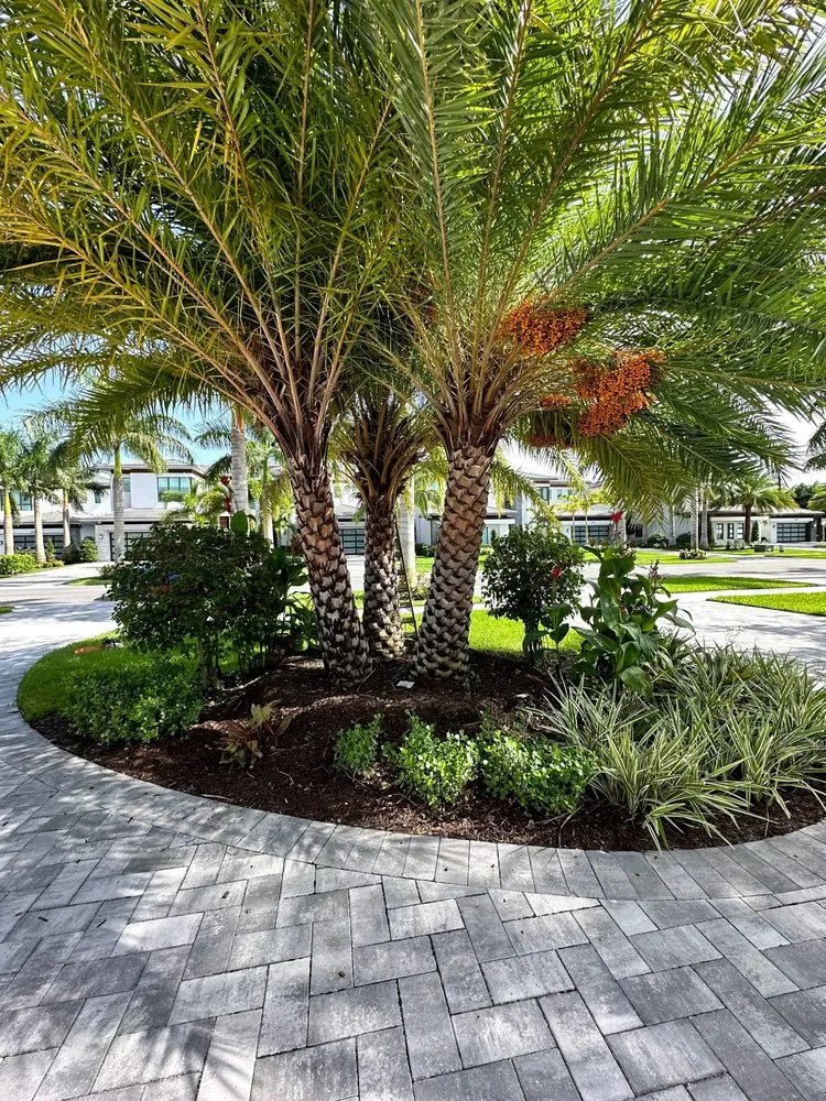 Professional yard maintenance in Haverhill, FL - Dream Palmservices