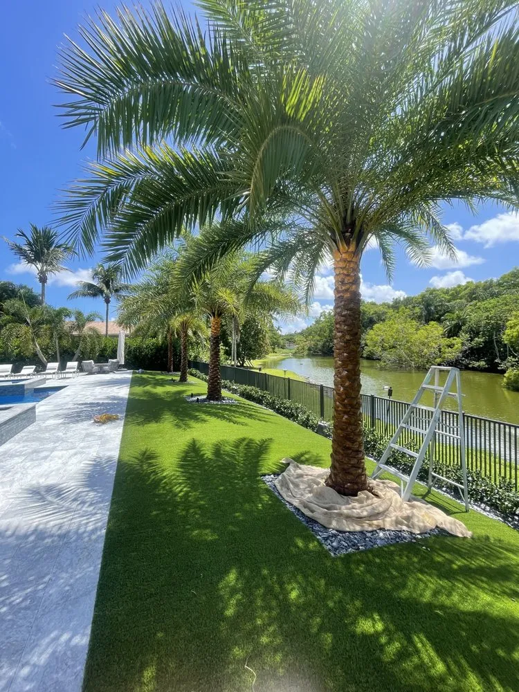 Professional garden landscaping for homes across Haverhill, FL - Dream Palmservices