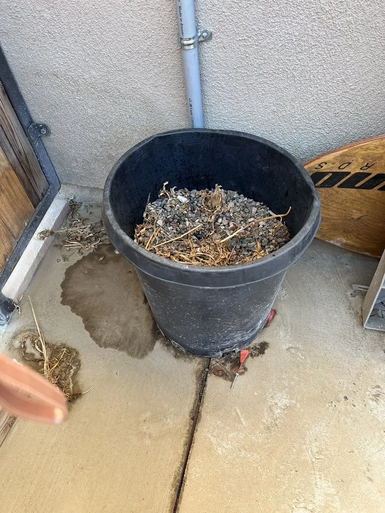 Local landscape installation for residential properties across Menifee, CA - Dream Pools Construction