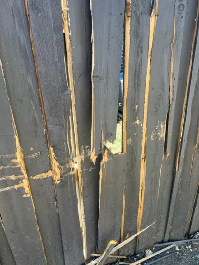 Custom lawn care service in Menifee, CA by Dream Pools Construction