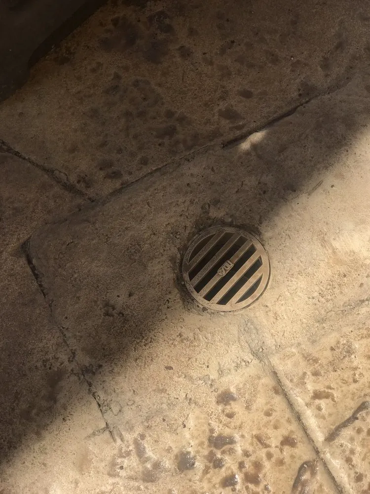 Top-rated lawn care service in Menifee, CA - Dream Pools Construction