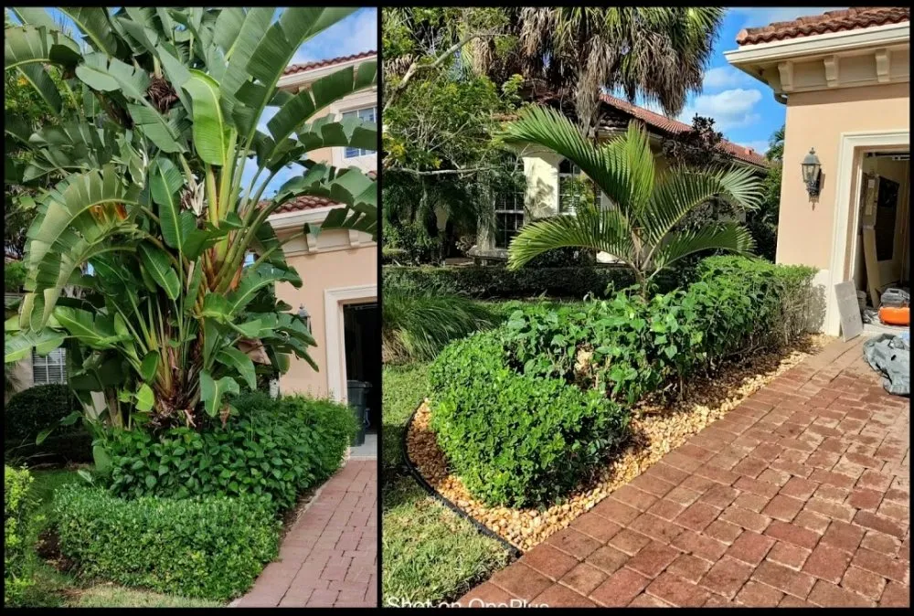 Professional garden landscaping experts serving Jupiter Island, FL - Dream Property Professionals