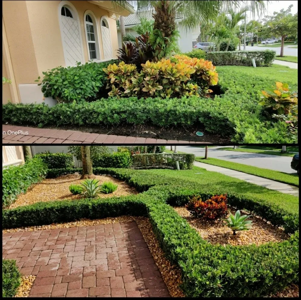 Affordable lawn care service in Jupiter Island, FL by Dream Property Professionals