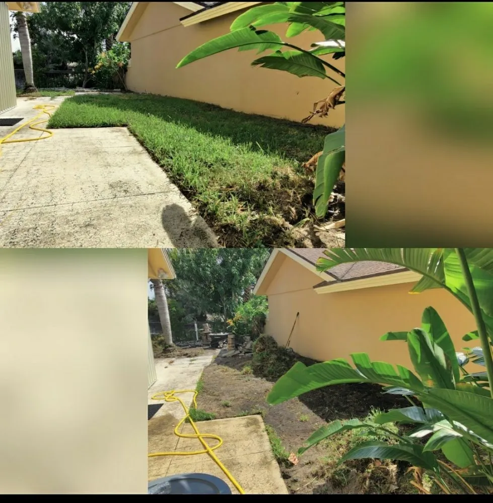 Local residential landscaping in Jupiter Island, FL - Dream Property Professionals