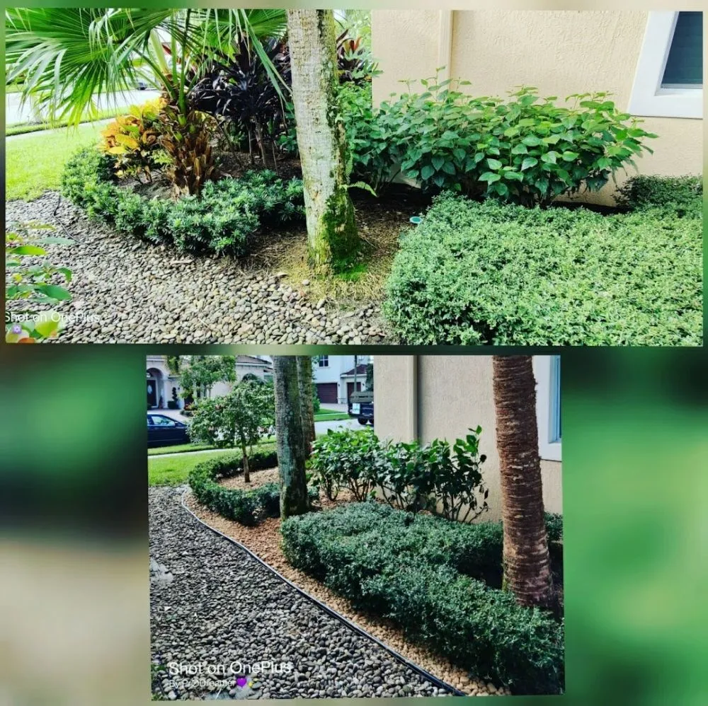 Expert yard maintenance in Jupiter Island, FL by Dream Property Professionals