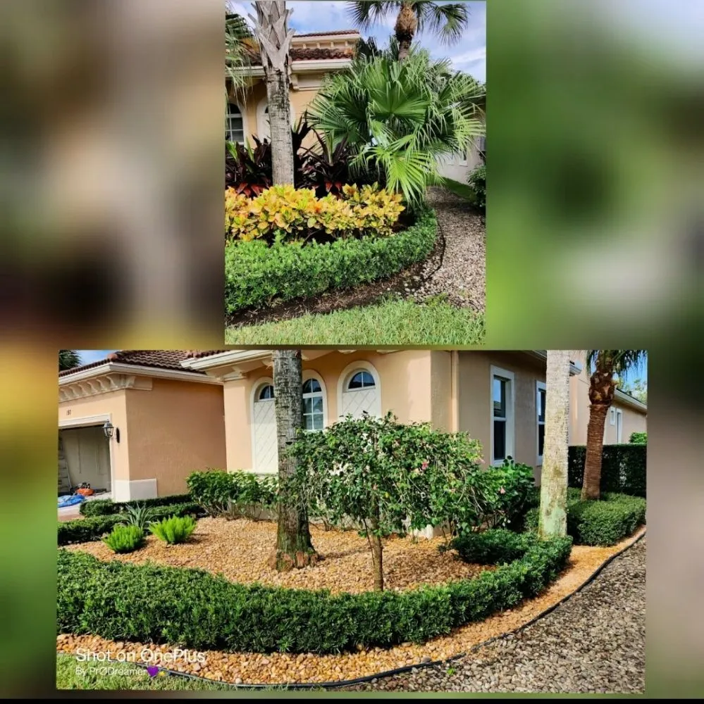 Affordable landscaping services in Jupiter Island, FL - Dream Property Professionals