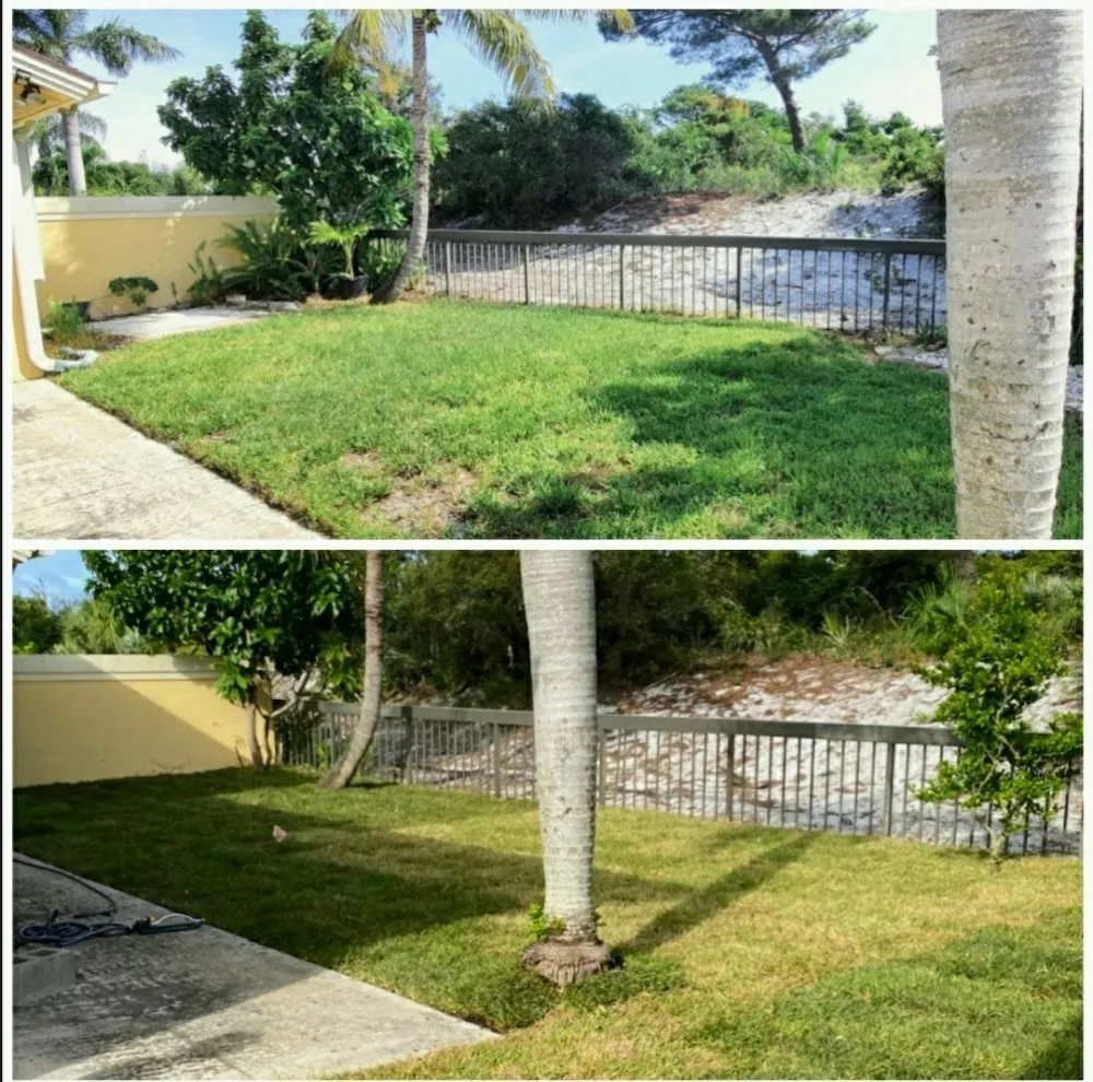 Top-rated landscaping services for outdoor upgrades in Jupiter Island, FL by Dream Property Professionals