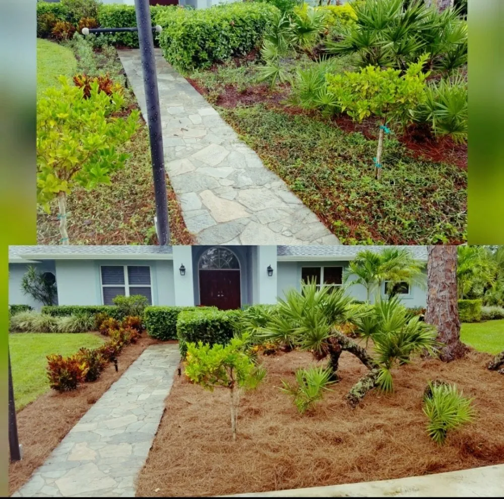 Professional lawn care service in Jupiter Island, FL - Dream Property Professionals