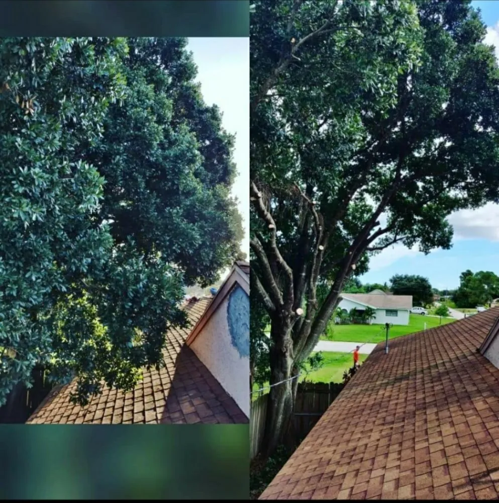 Custom residential landscaping for homes across Jupiter Island, FL - Dream Property Professionals