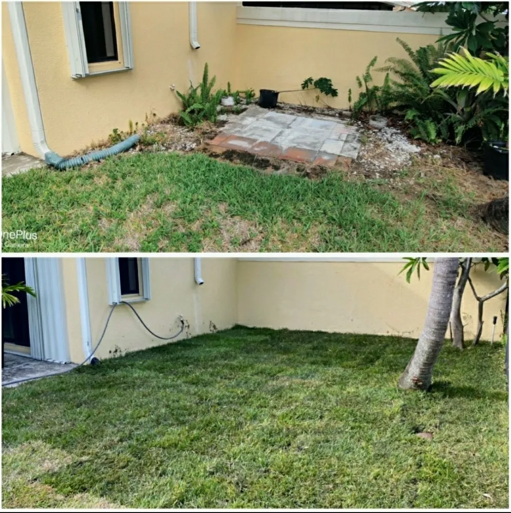 Professional landscape design in Jupiter Island, FL by Dream Property Professionals