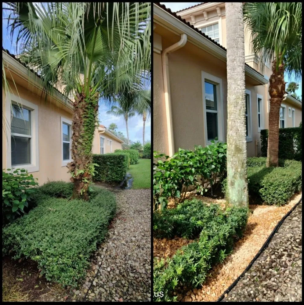 Expert outdoor landscaping in Jupiter Island, FL - Dream Property Professionals