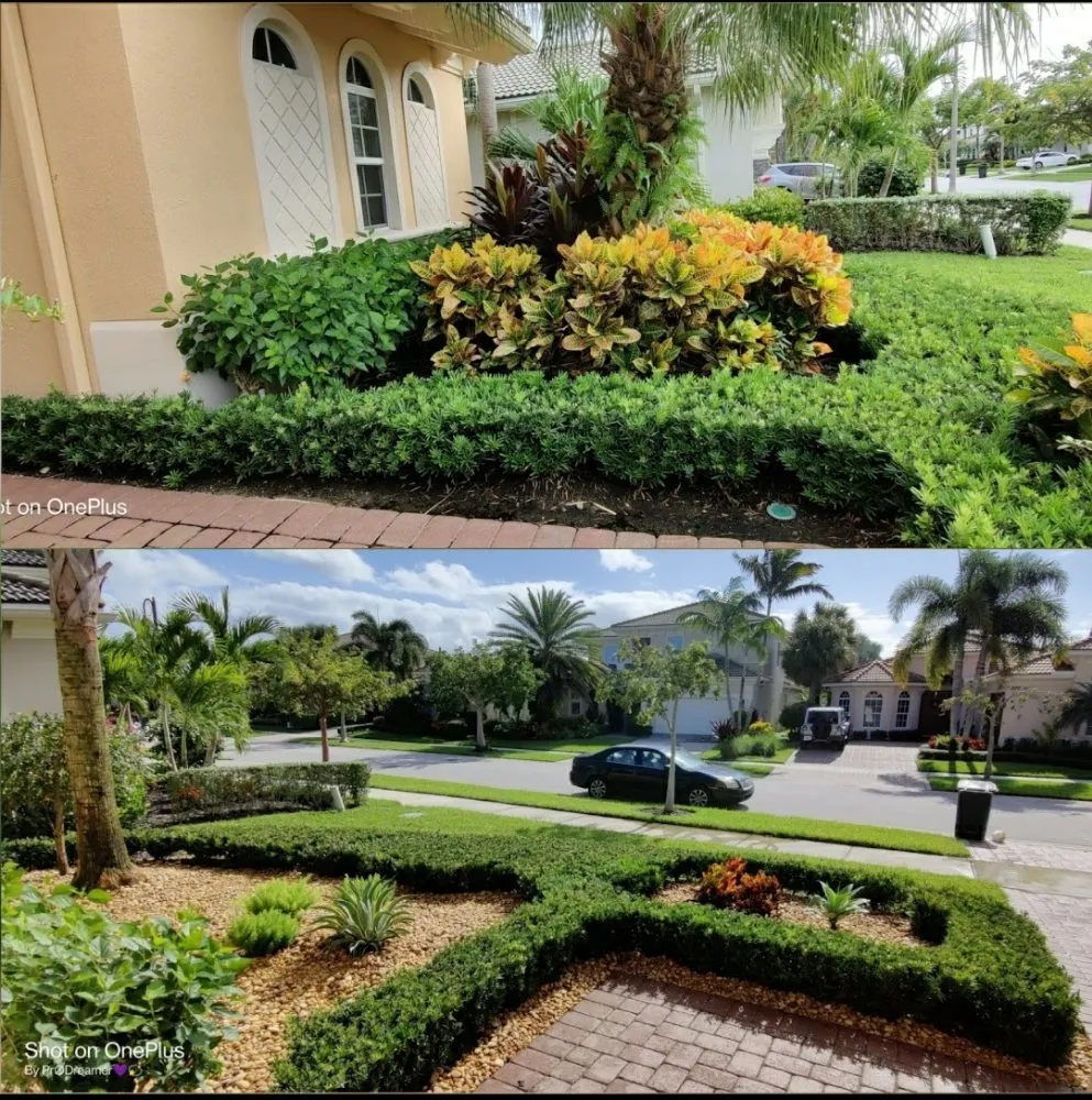 Professional landscaping services in Jupiter Island, FL - Dream Property Professionals
