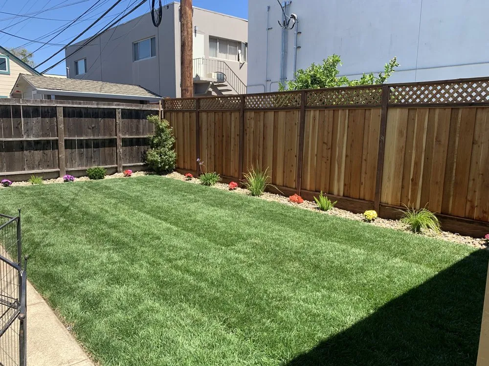 Expert yard cleanup service in Hayward, CA by Dream Reality Landscape