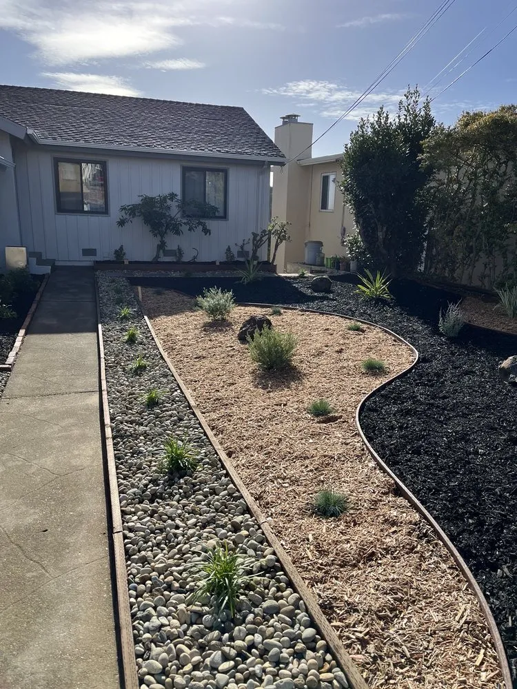 Top-rated lawn care service experts serving Hayward, CA - Dream Reality Landscape