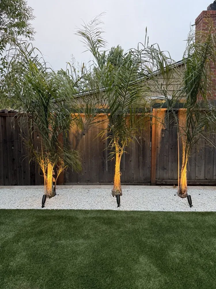 Local outdoor landscaping for year-round maintenance across Hayward, CA - Dream Reality Landscape