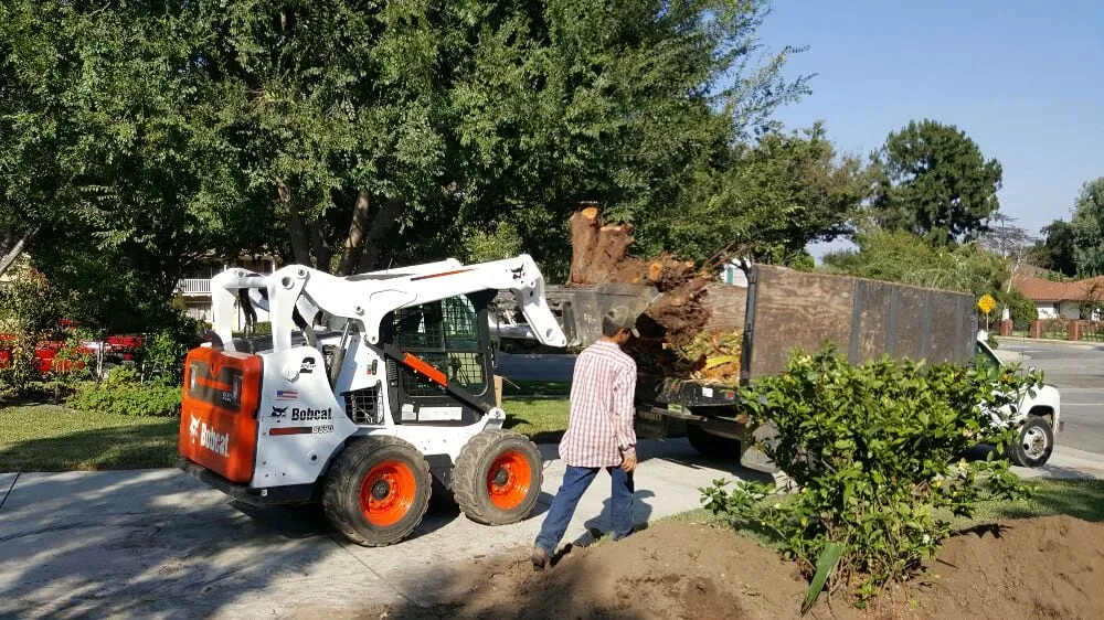 Top-rated landscaping services for beautiful yards across Altadena, CA - Dream Scape Inc