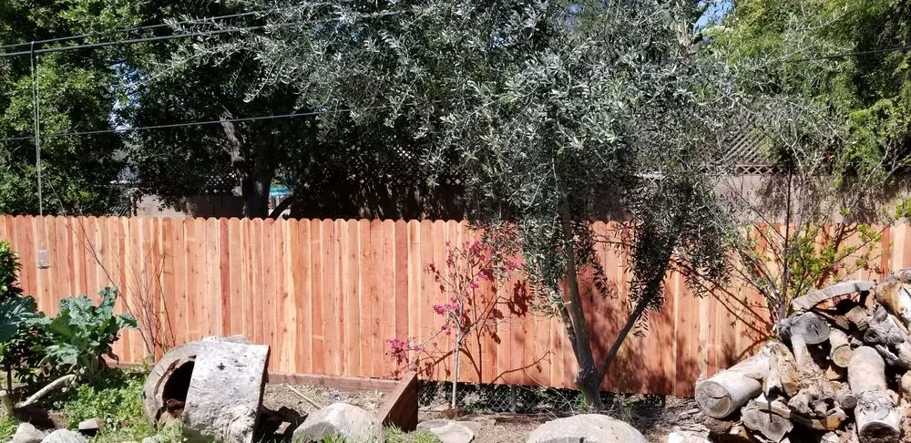 Professional lawn care service for outdoor upgrades in Altadena, CA by Dream Scape Inc